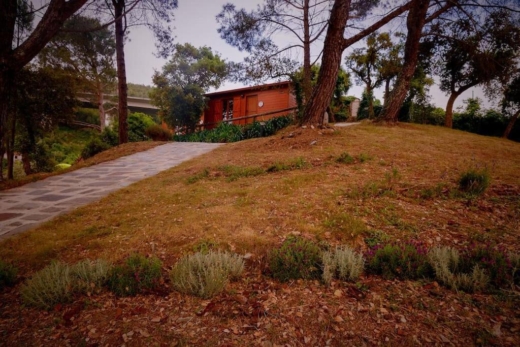 Arrabia Bunga Payva Hostal Raiva Exterior foto